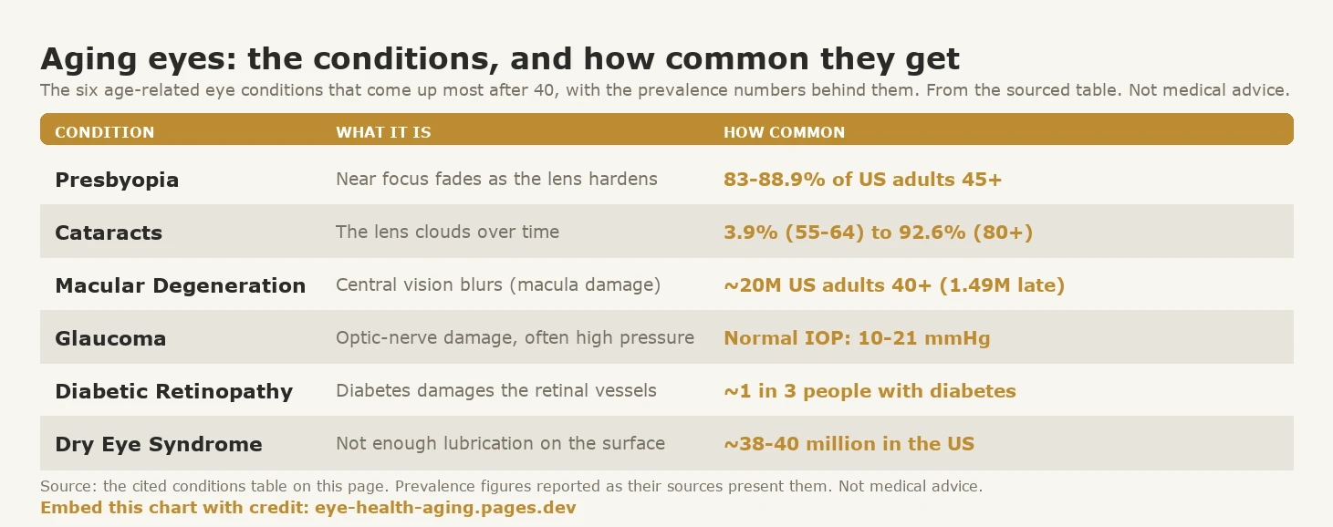 Reference card of six age-related eye conditions with what each is and how common it is. Presbyopia: near focus fades as the lens hardens, affecting 83 to 88.9 percent of US adults 45 and older. Cataracts: the lens clouds over time, prevalence rising from 3.9 percent at ages 55 to 64 to 92.6 percent at 80 and older. Macular degeneration: central vision blurs from macula damage, about 20 million US adults over 40 (1.49 million late-stage). Glaucoma: optic-nerve damage often linked to high pressure, with normal intraocular pressure of 10 to 21 mmHg. Diabetic retinopathy: diabetes damages the retinal blood vessels, affecting about 1 in 3 people with diabetes. Dry eye syndrome: not enough lubrication on the surface, about 38 to 40 million people in the US. Not medical advice.
